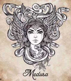 奢华美杜莎,神秘与诱惑的完美融合
