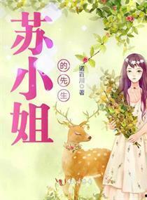 缘来你是苏小姐,缘来你是苏小姐的浪漫邂逅