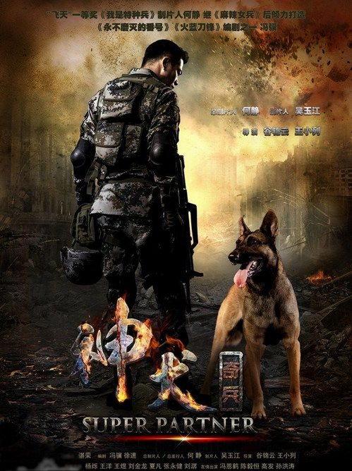 奇兵神犬,忠诚与勇气的军犬传奇