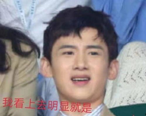 娱乐吃瓜酱白敬亭